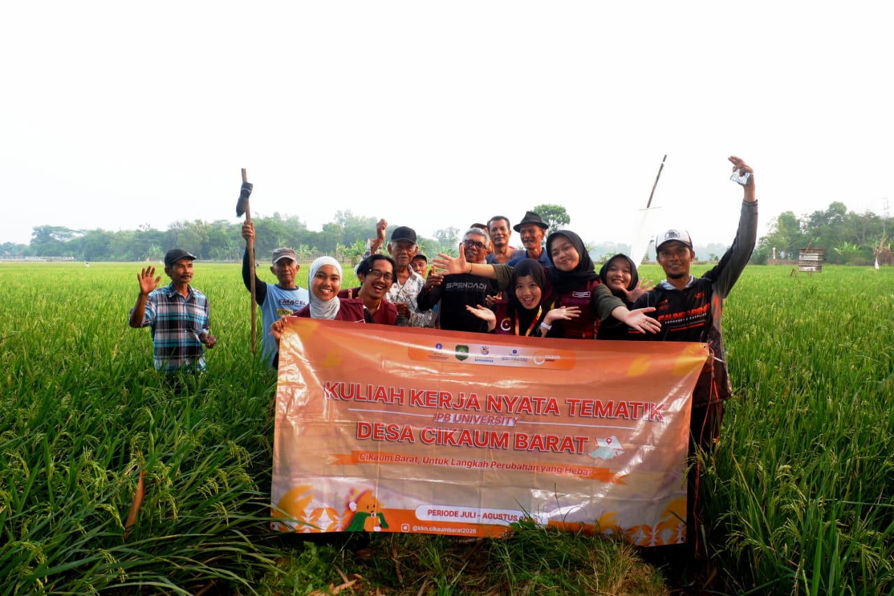 Pertanian Padi